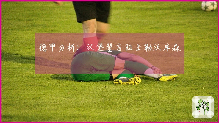 德甲分析：汉堡誓言阻击勒沃库森